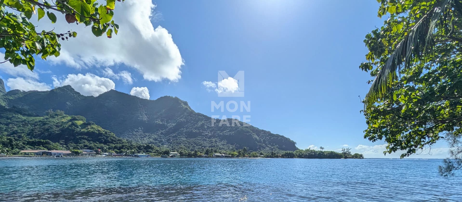 AFAREAITU - TERRAIN BORD DE MER DE MOOREA 700 M2 - Image 2
