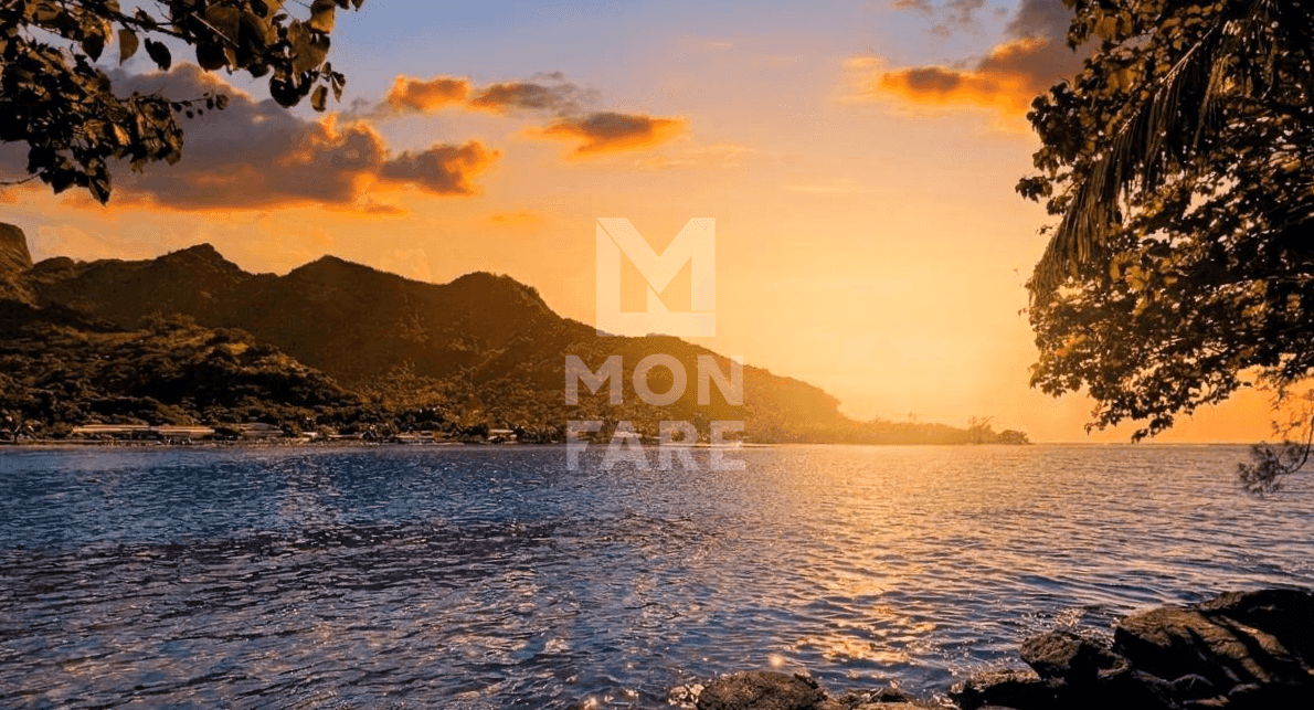 AFAREAITU - TERRAIN BORD DE MER DE MOOREA 700 M2 - Image 3