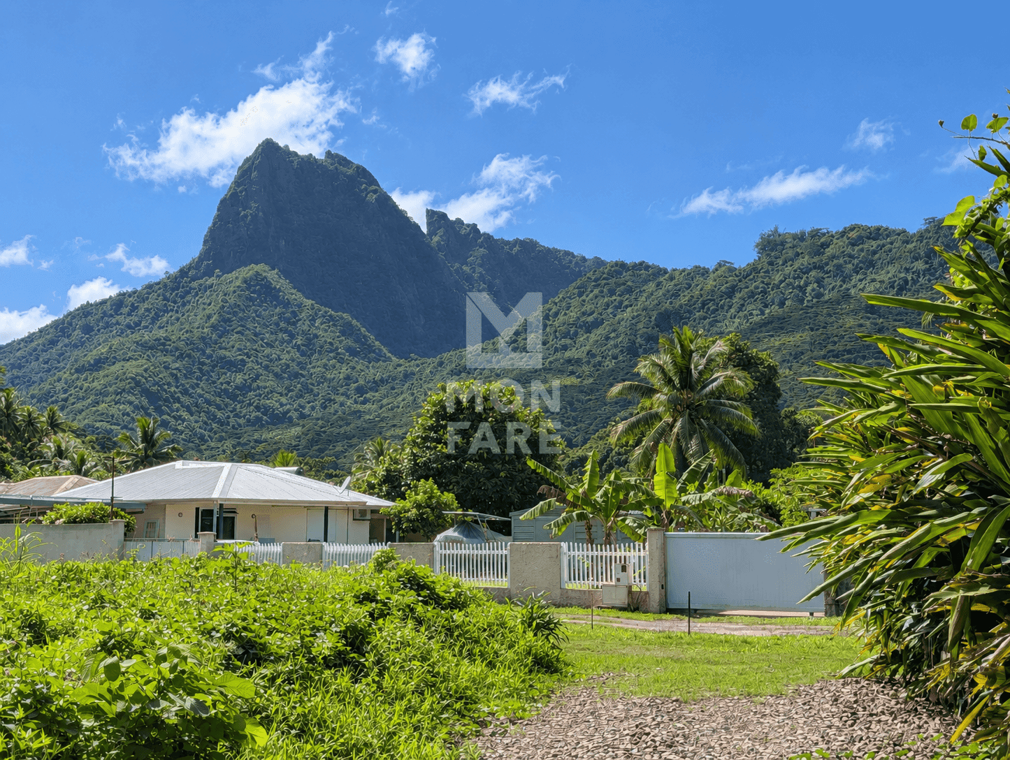 MOOREA - 2 MAISONS DE 55 M² SUR MAGNIFIQUE TERRAIN CLOS DE 1012 M² - Image 7