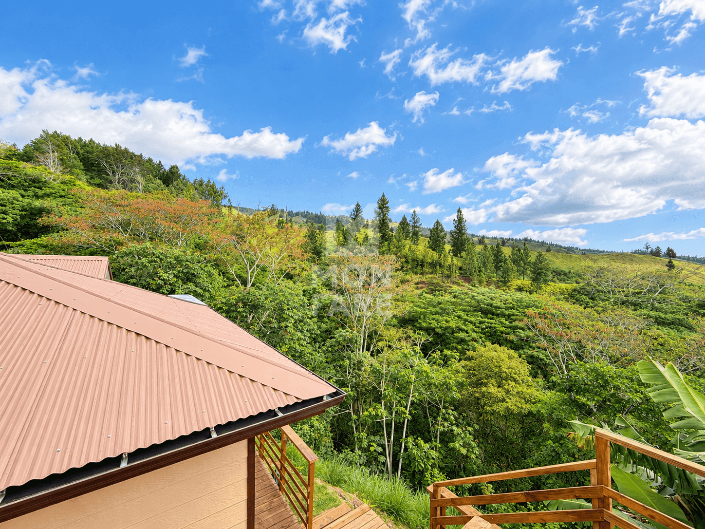 PUNAAUIA - MAISON NEUVE F4 MEUBLÉE - VUE MONTAGNES - Image 12